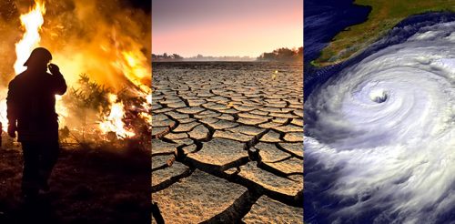 A DETAILED STUDY OF GOVERNMENT POLICIES REGARDING CLIMATE CHANGE AND ENVIRONMENTAL CRISIS IN INDIA