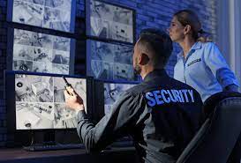 TRAINING AND DEVELOPMENT IN THE PRIVATE SECURITY SECTOR: CURRENT APPROACHES AND FUTURE NEEDS