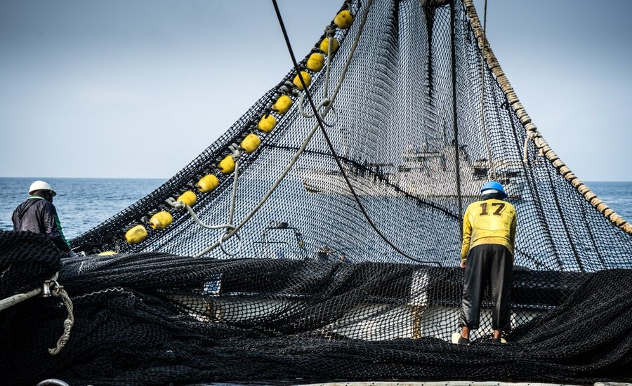 ENFORCEMENT OF FISHERIES LAWS IN INDIA