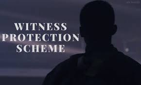 Ensuring Safety and Cooperation: Legal Aspects of Witness Protection Programs in Criminal Cases.
