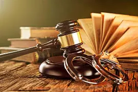 Criminal Liability for Biometric Data Theft Under the Bharatiya Nyaya Sanhita, 2023